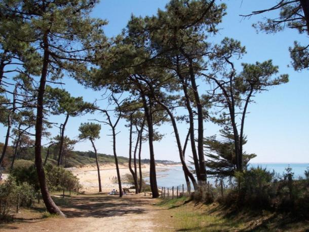Villa L'Acacias Longeville-sur-Mer Esterno foto